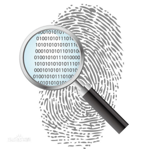 fingerprint-0.png